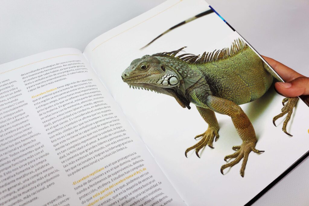 Instintos cerebro reptiliano